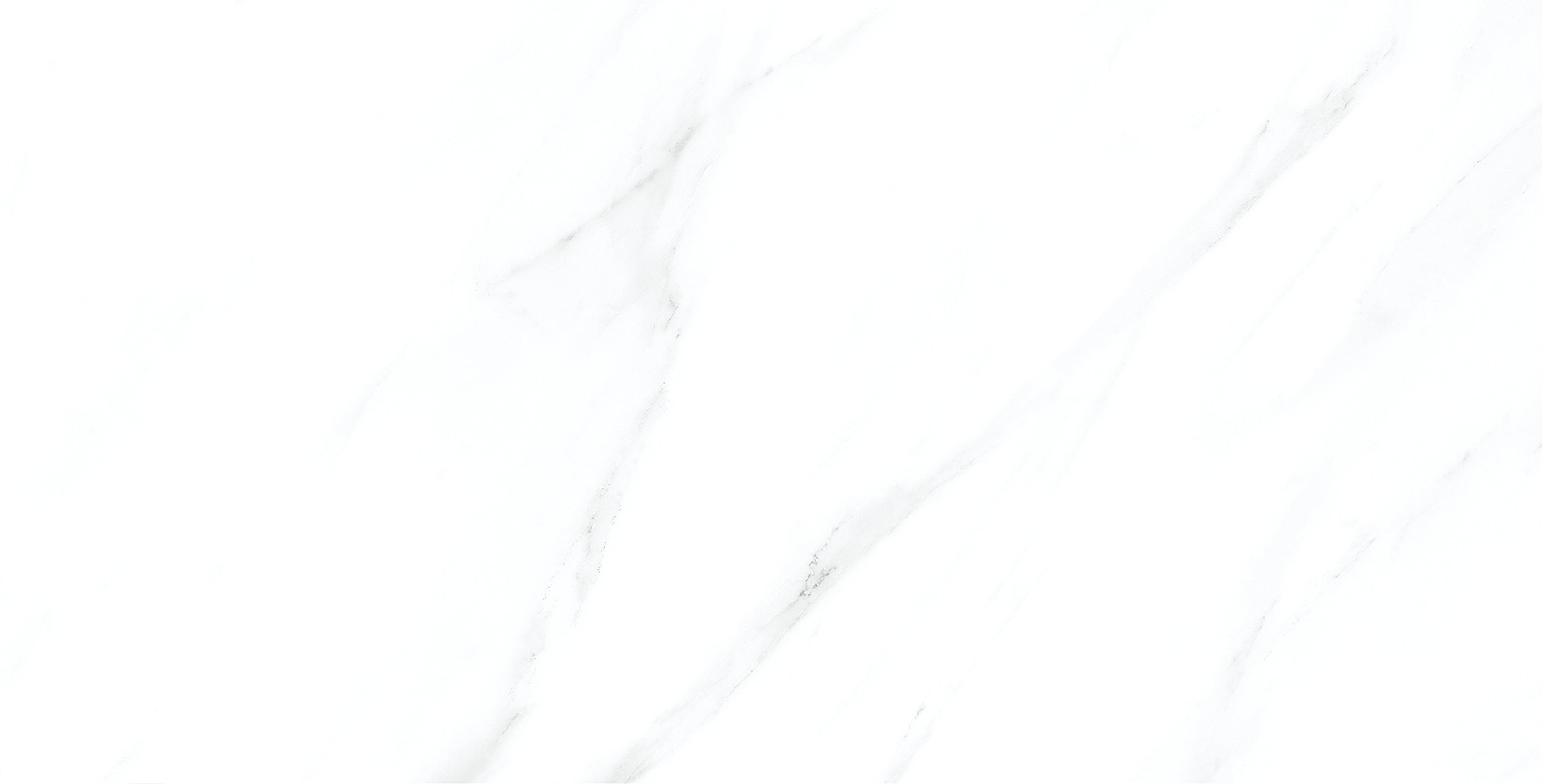 2A60878(300x600)����