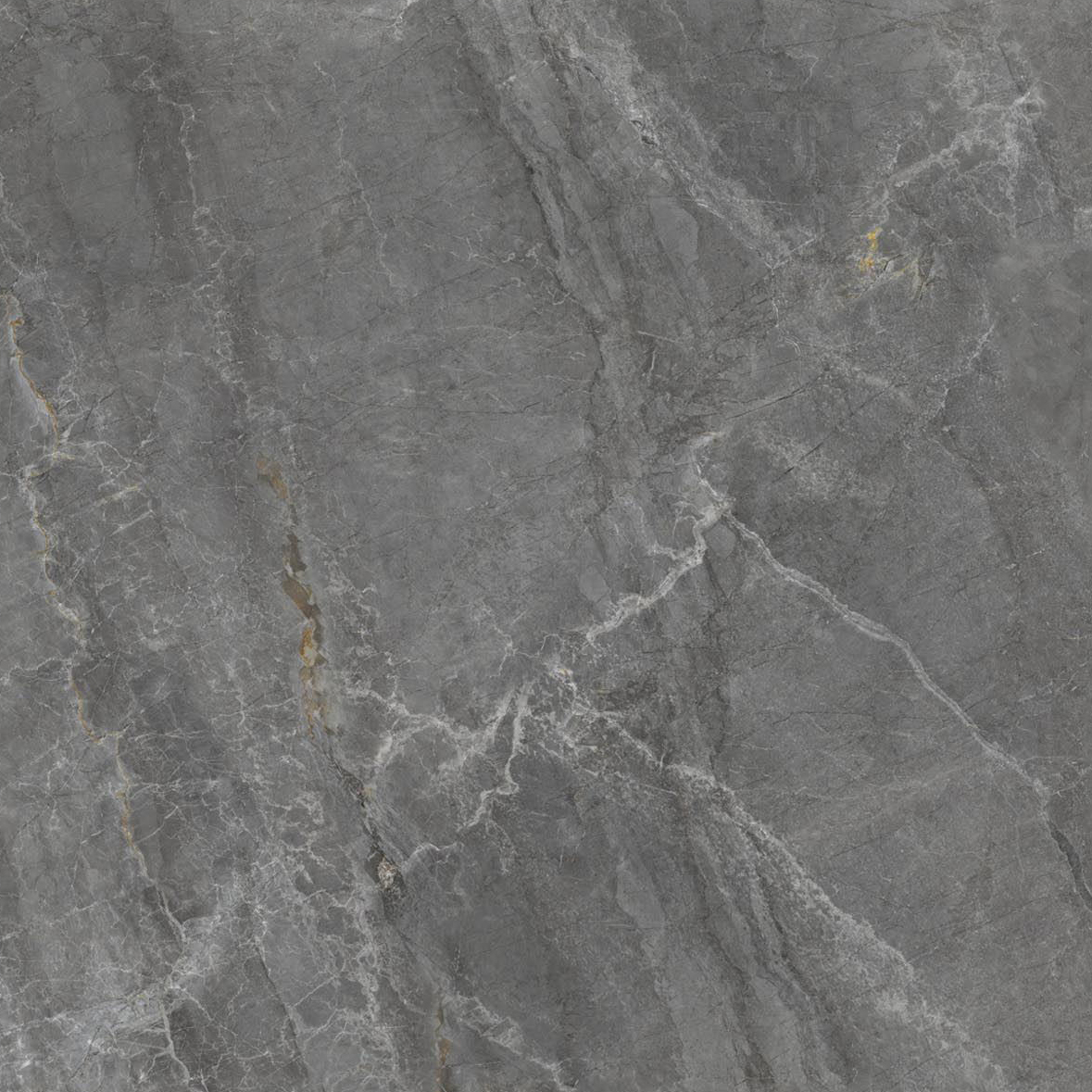 TPG80209(���������)